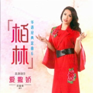 华语经典金曲 6