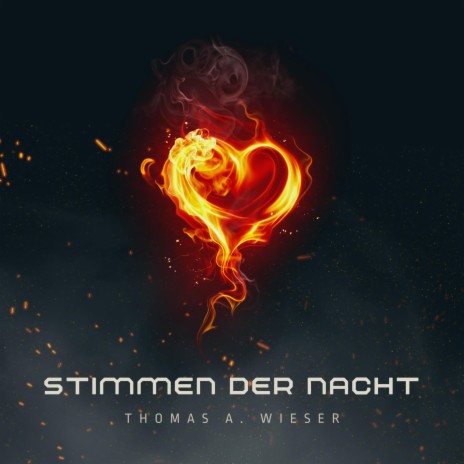 Stimmen der Nacht cover art