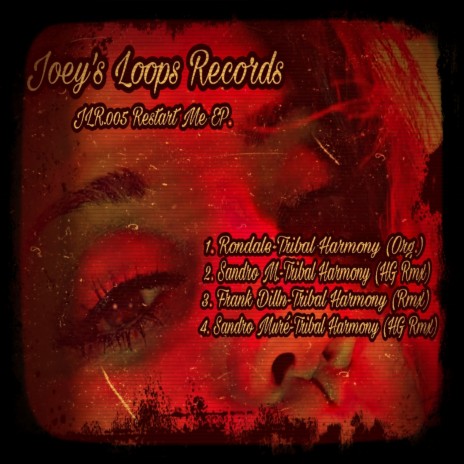 Tribal Harmony (Frank Dilln Remix) cover art