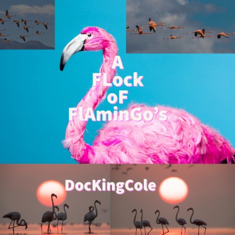 Funky Lakeside cover art