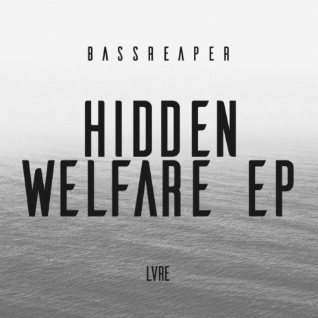 Hidden Welfare (Original Mix) cover art