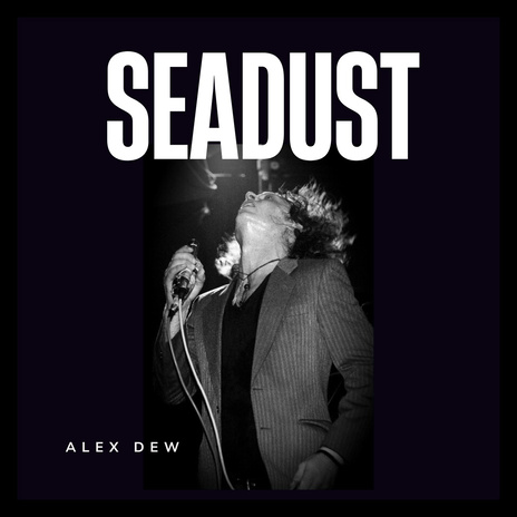 Seadust