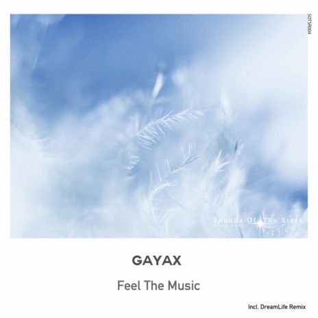 Feel The Music (DreamLife Remix) cover art