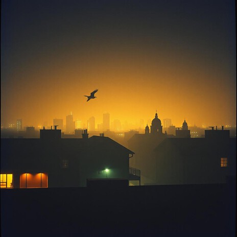 Rising Higher cover art
