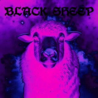 BLACK SHEEP