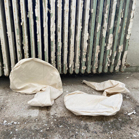 dumplingNSH cover art