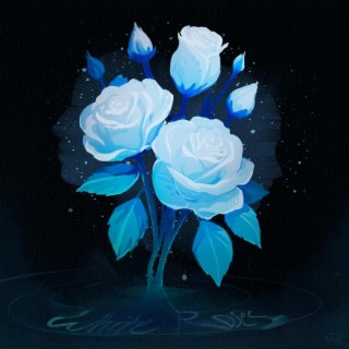 White Roses