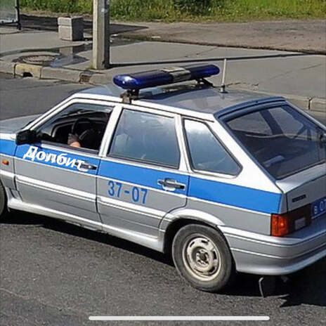 Долбит