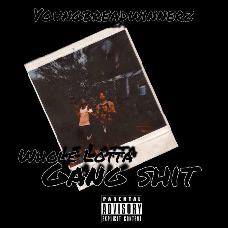 Whole Lotta Gang Shit cover art
