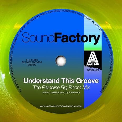 Understand This Groove (Paradise Big Room Mix) cover art