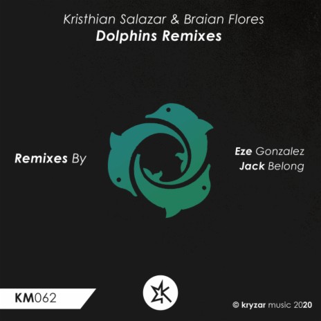 Dolphins (Jack Belong Remix) ft. Braian Flores cover art