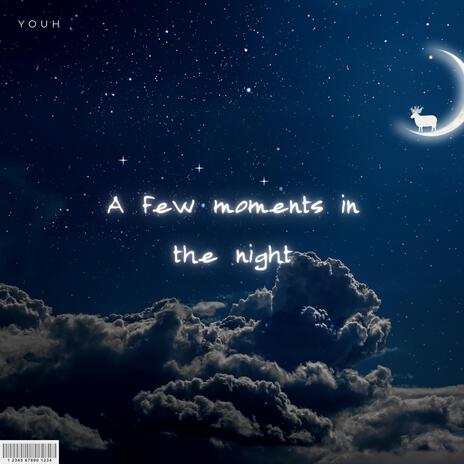 A few moments in the night cover art
