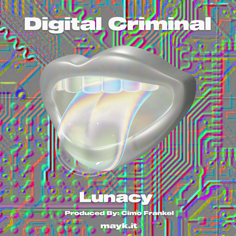 Digital Criminal cover art