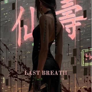 Last Breath cover art