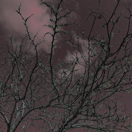 Ossification cover art