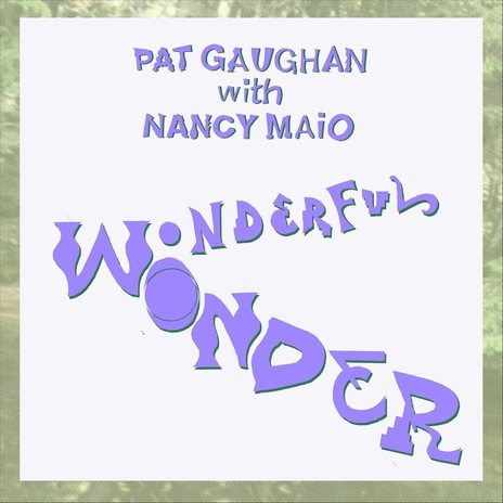 Wonderful Wonder (feat. Nancy Maio) cover art