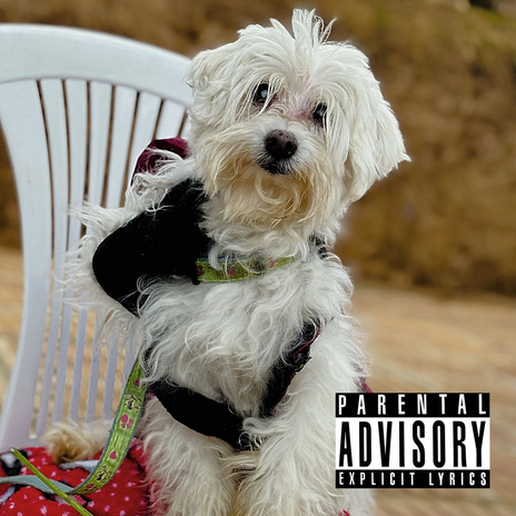 Funada ft. Juanito Rey cover art