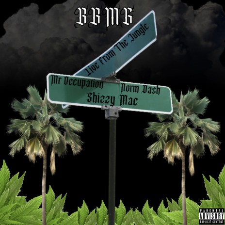Live From The Jungle ft. Shizzy Macronni & Norm Dash cover art