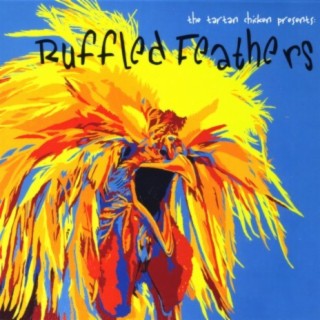 Ruffled Feathers