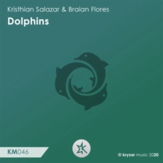 Dolphins (Original Mix) ft. Braian Flores cover art