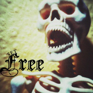 Set free (Cole The VII) cover art