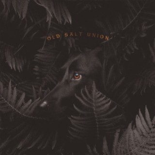 Old Salt Union