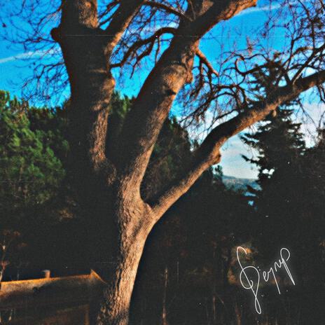 Relatively Complicit (Instrumental Version) cover art