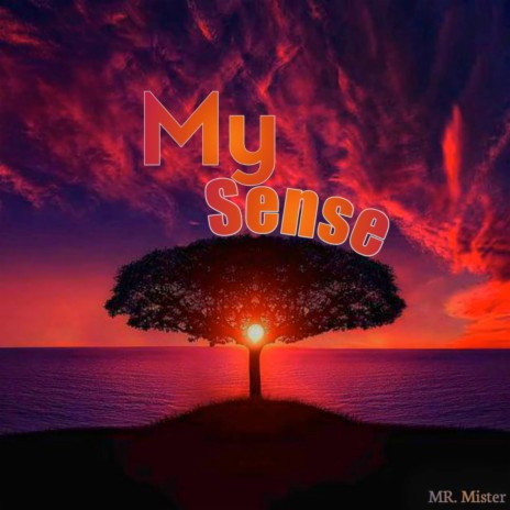 My Sense