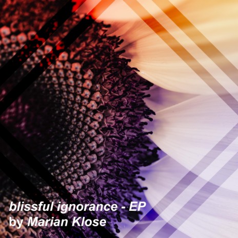 Endless Love cover art