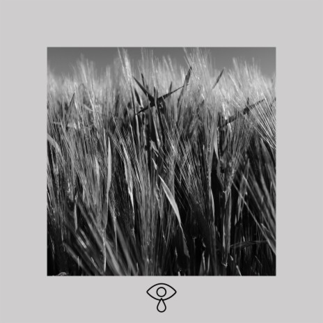 Fake ft. Jan-Dirk Platek cover art