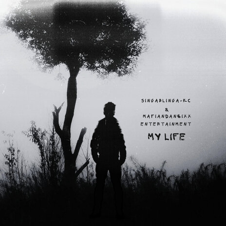 My Life ft. Mafiandan6ixx Entertainment cover art