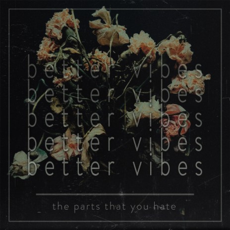 The Parts That You Hate cover art