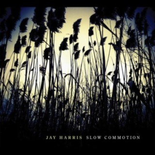Slow Commotion