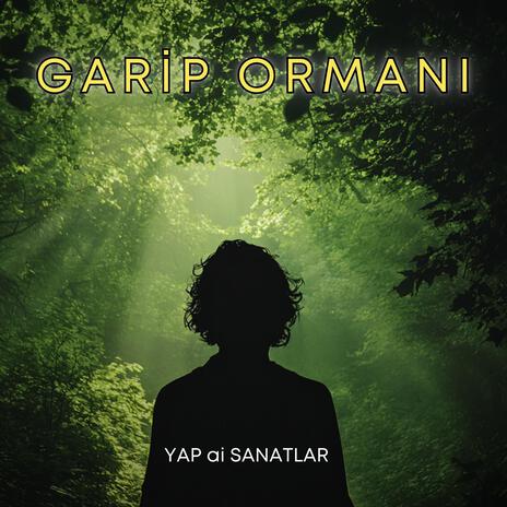 GARİP ORMANI - Duygusal (emotional) cover art