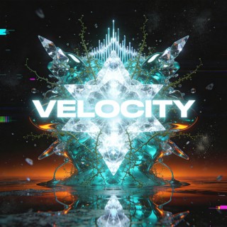 Velocity