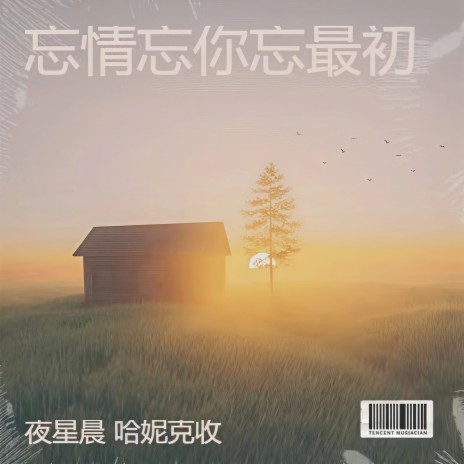 忘情忘你忘最初 (DJ阿诺版) ft. 哈妮克收 cover art