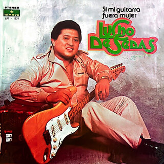 Si Mi Guitarra Fuera Mujer