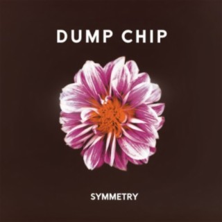 Dump Chip