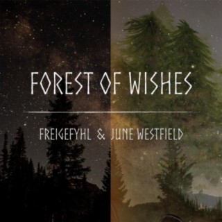 Forest Of Wishes (June Westfield Mix) ft. June Westfield cover art