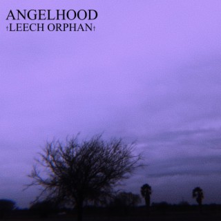 Angelhood