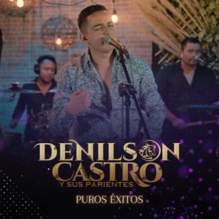 Puros Éxitos