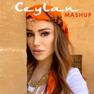 Zeyne / Nabe / Rındamin / Derê Mala Keçıke Mashup (Mashup) cover art