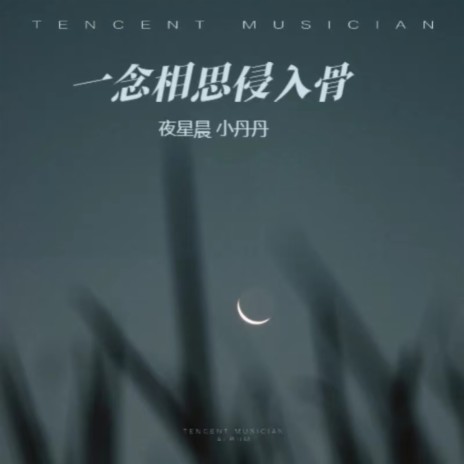 一念相思侵入骨（合唱版） ft. 小丹丹 cover art