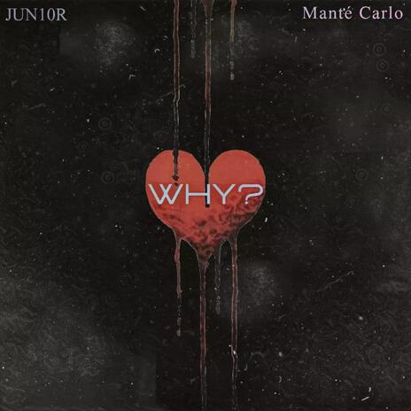 Why? cover art