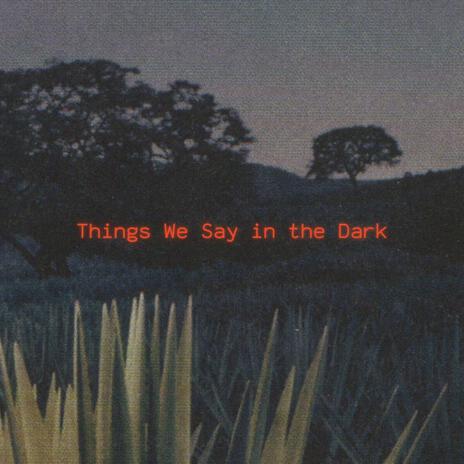 Things We Say in the Dark cover art