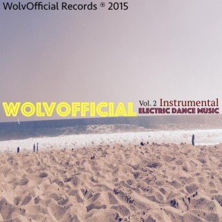 Vol. 2: Instrumental Electronic Dance Music