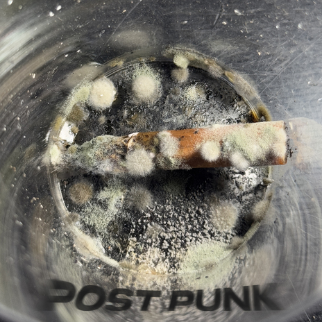 Пакетики счастья cover art