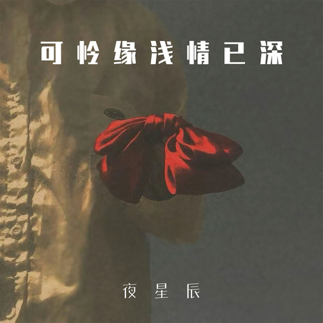 可怜缘浅情已深 (Dj版) cover art