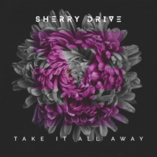 Take It All Away cover art