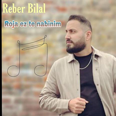 روجا از تا نبینم cover art